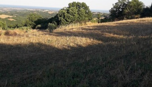 οικόπεδο 2.100 τ.μ. στον Τρίλοφο Πιερίας